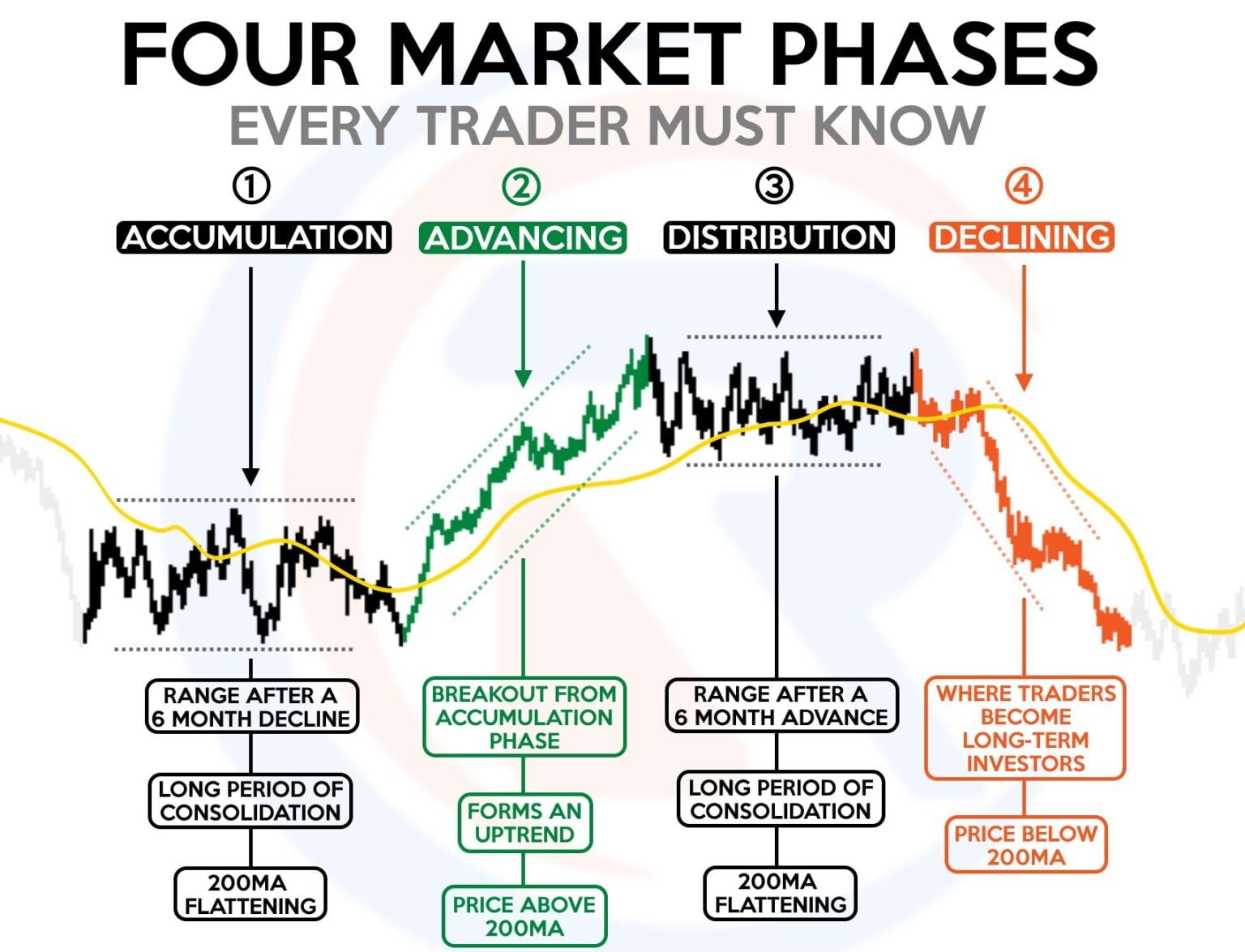Beginner’s Guide to Options Trading - Hi-Tek Rednek Money